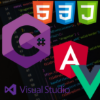 Picture of Custom Software Development
