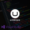 Picture of Custom Software Development